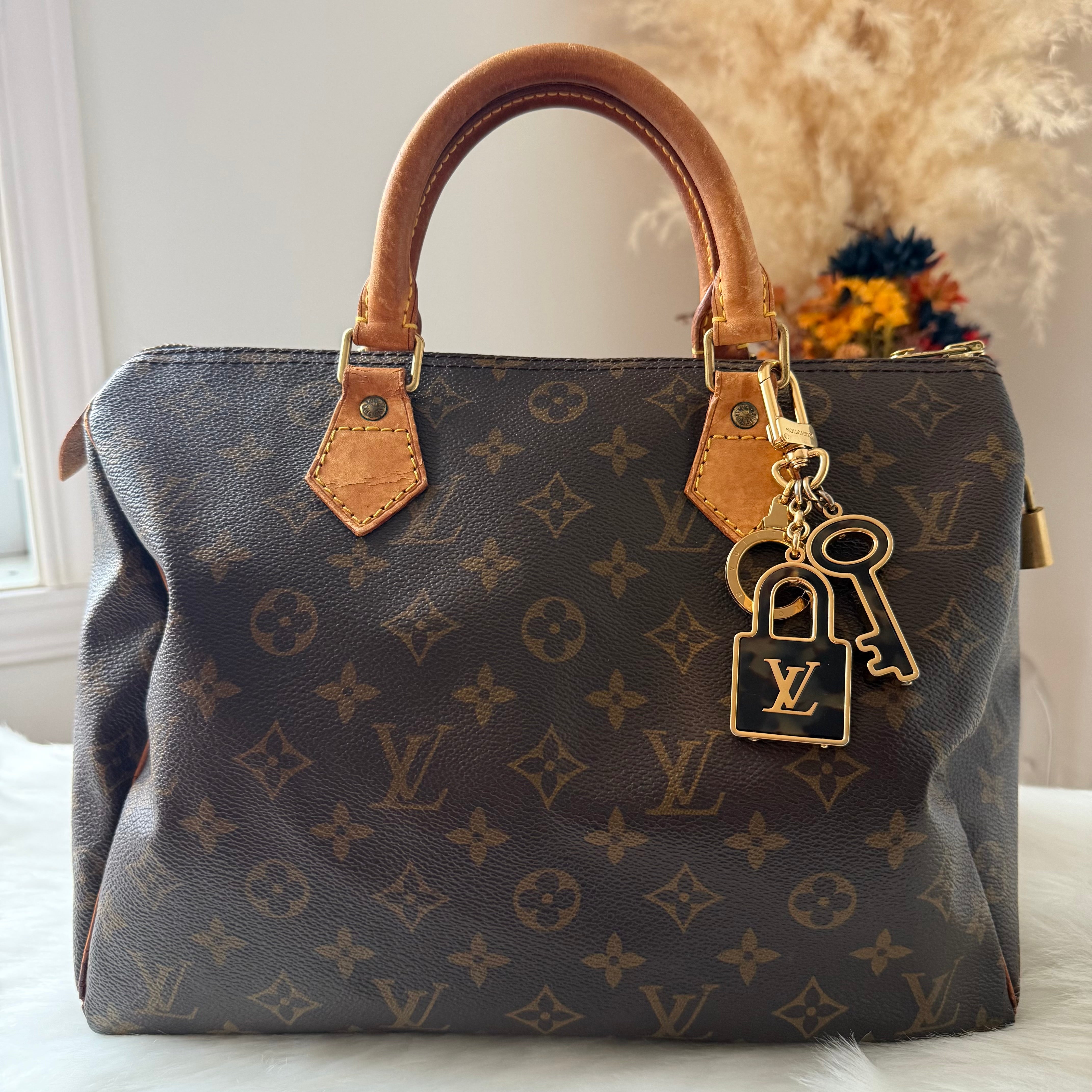 Padlock & Key Bag Charm