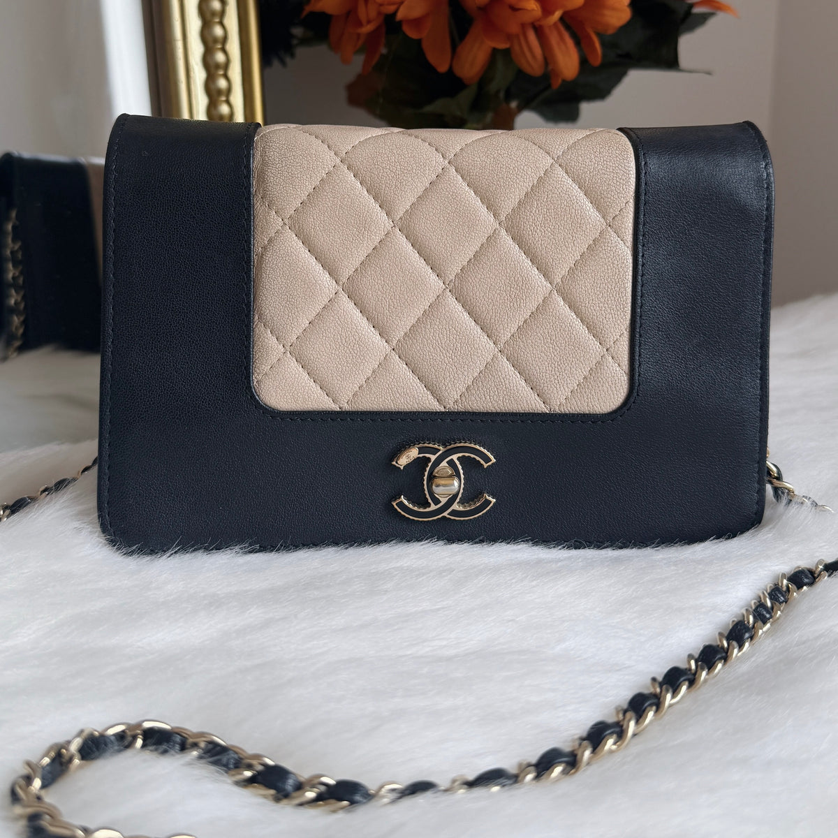 Wallet on Chain — Cruise Collection — Two-Tone Lambskin Leather — Gold-Tone Hardwares