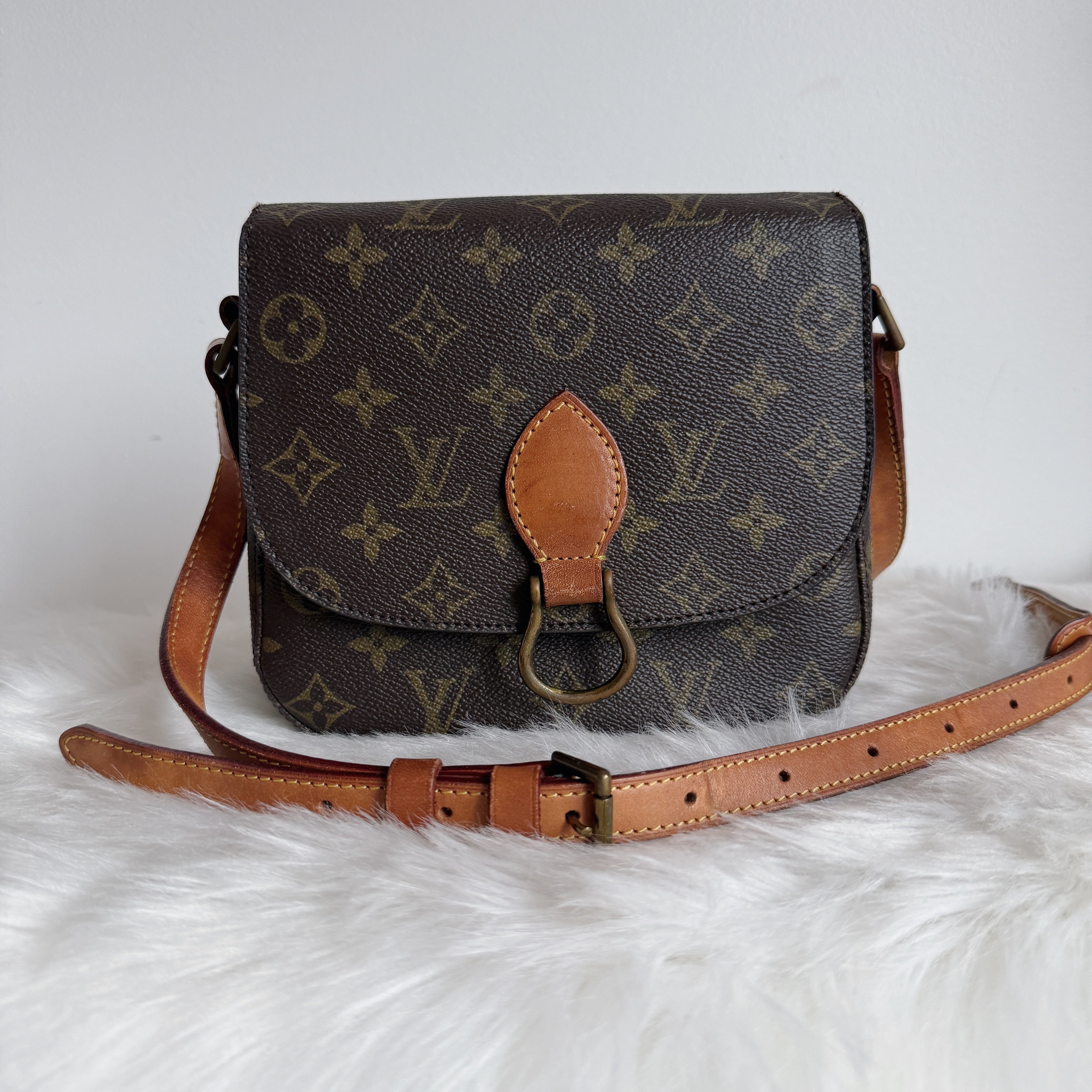 Monogram Saint-Cloud PM