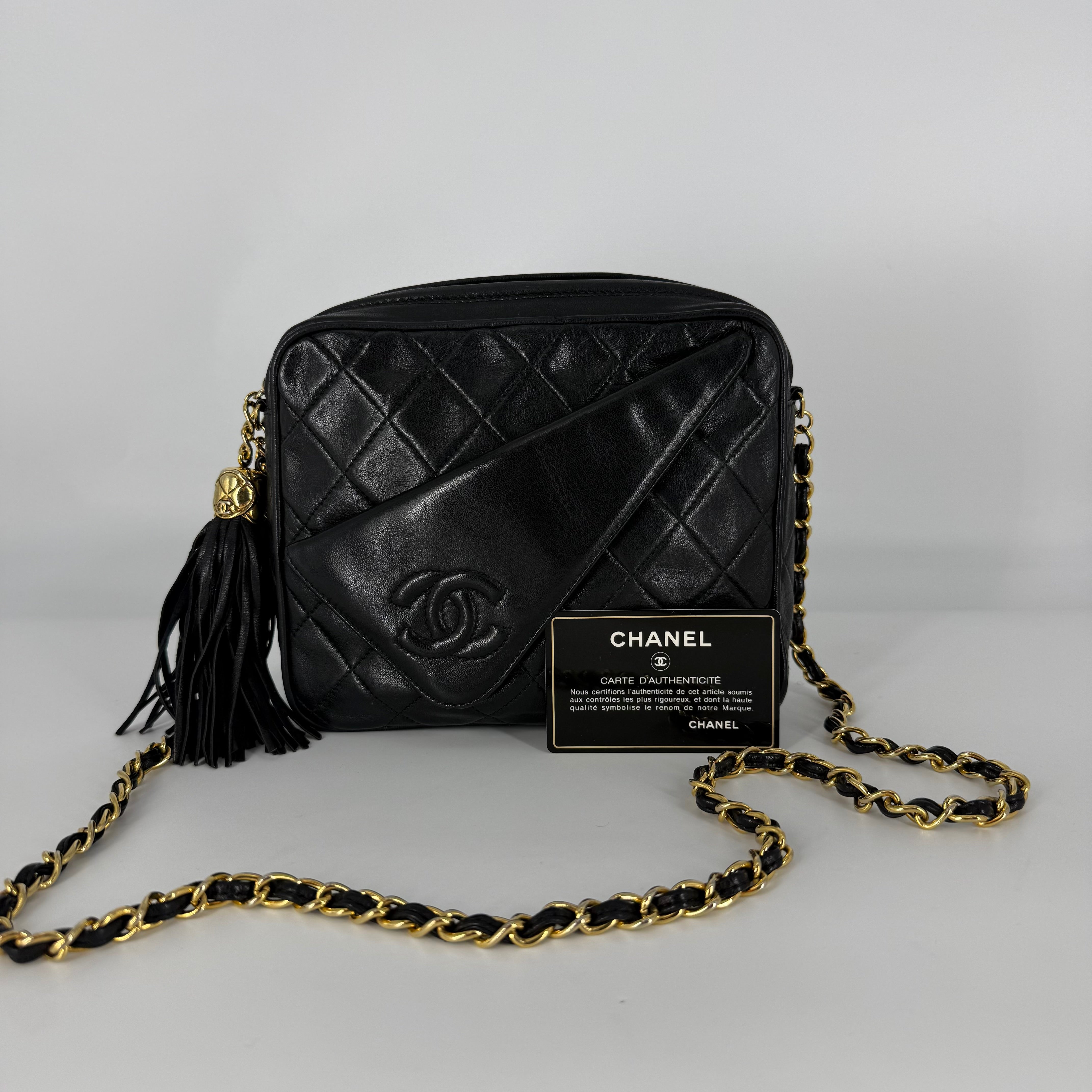 Vintage 24-Karat Gold Camera Bag