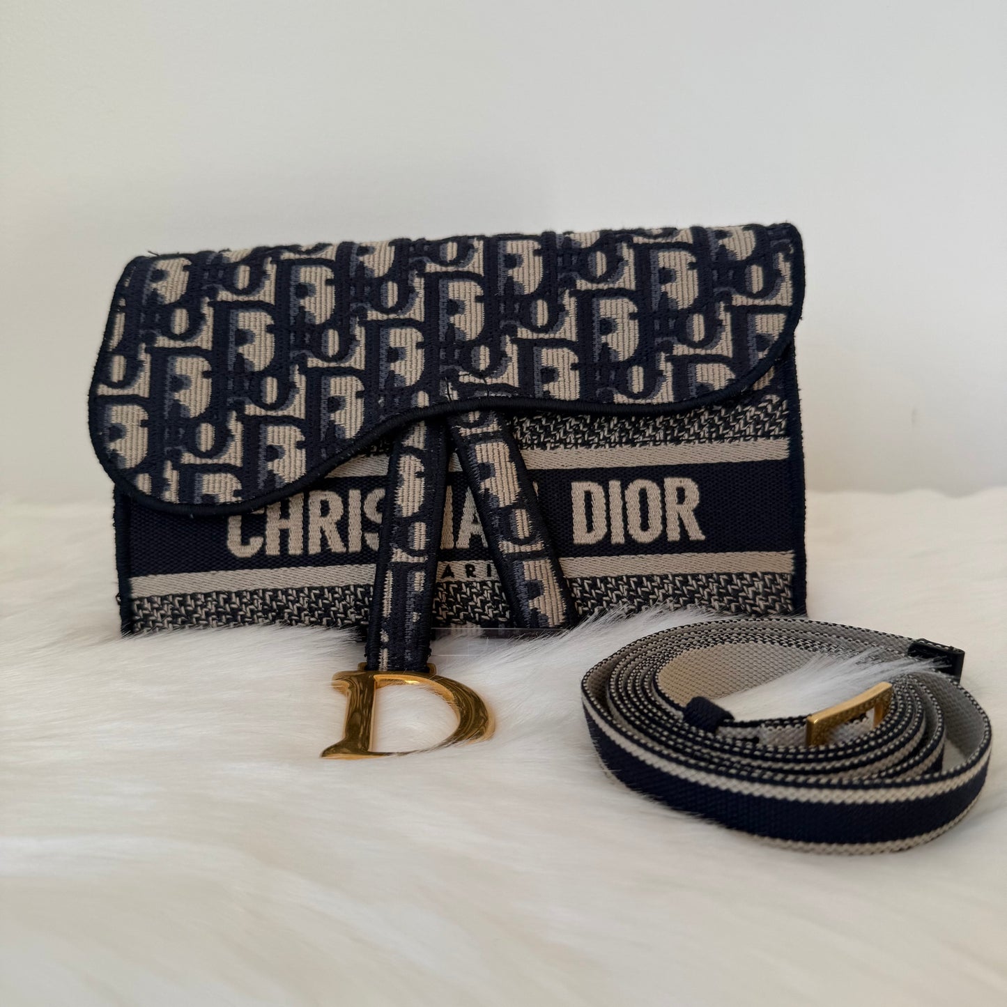 CHRISTIAN DIOR Saddle Canvas Bag