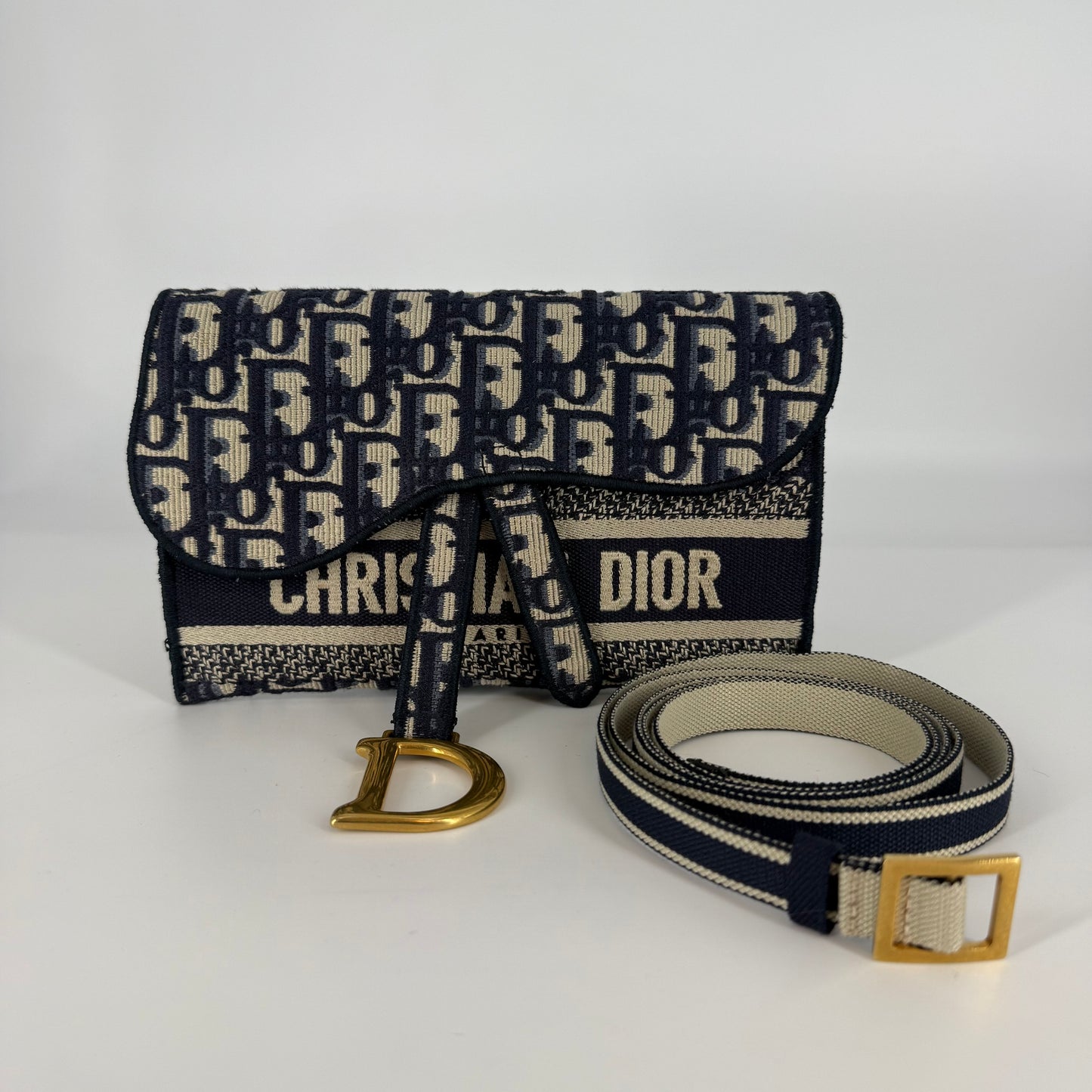 CHRISTIAN DIOR Saddle Canvas Bag