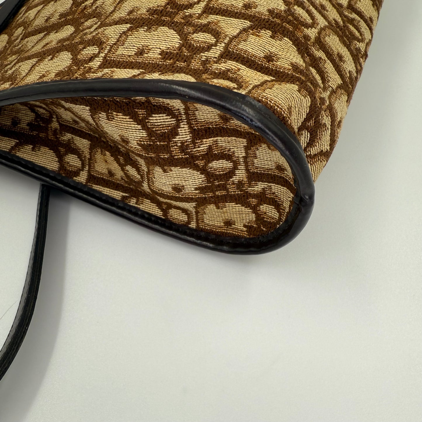 Dior – Trotter Canvas