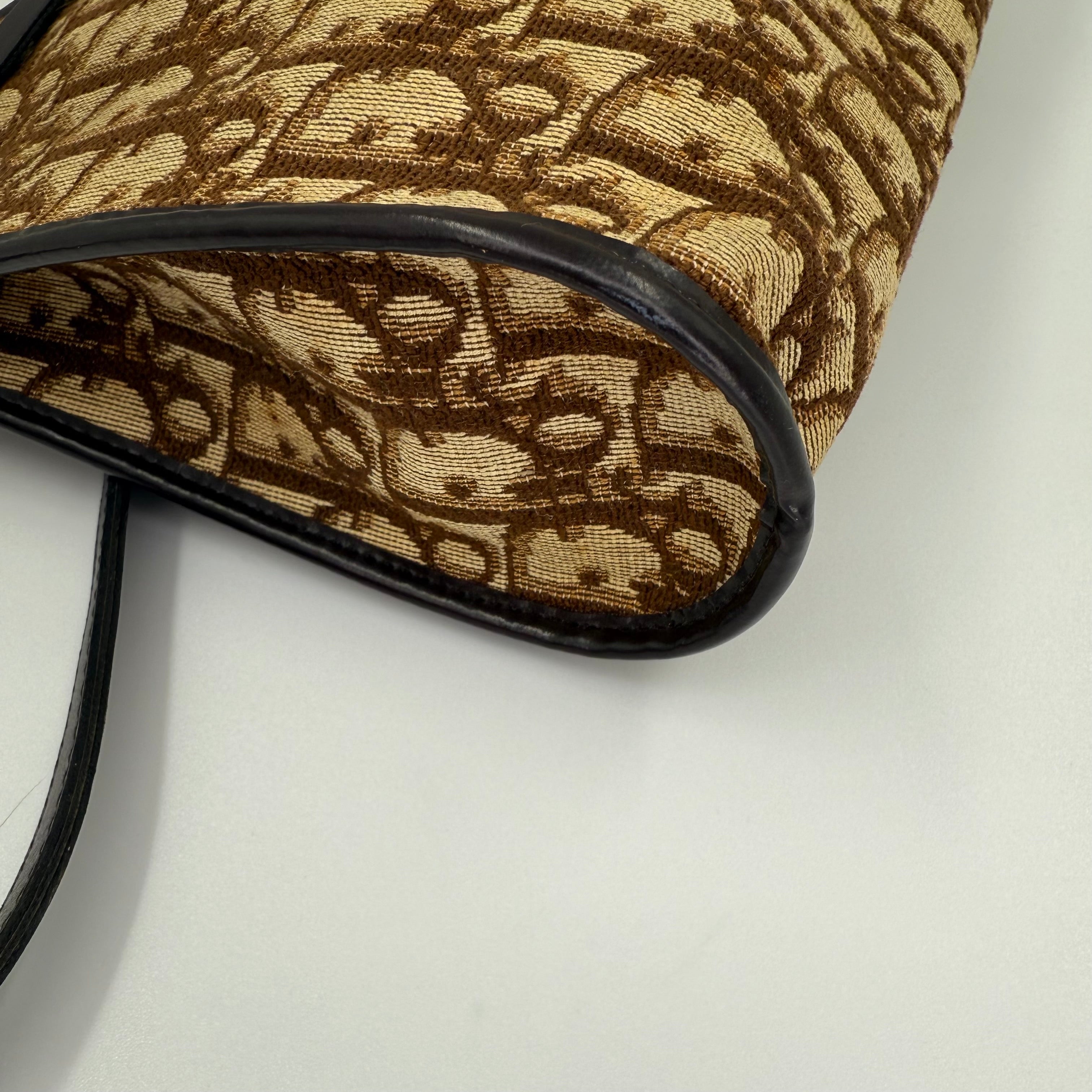 Dior – Trotter Canvas