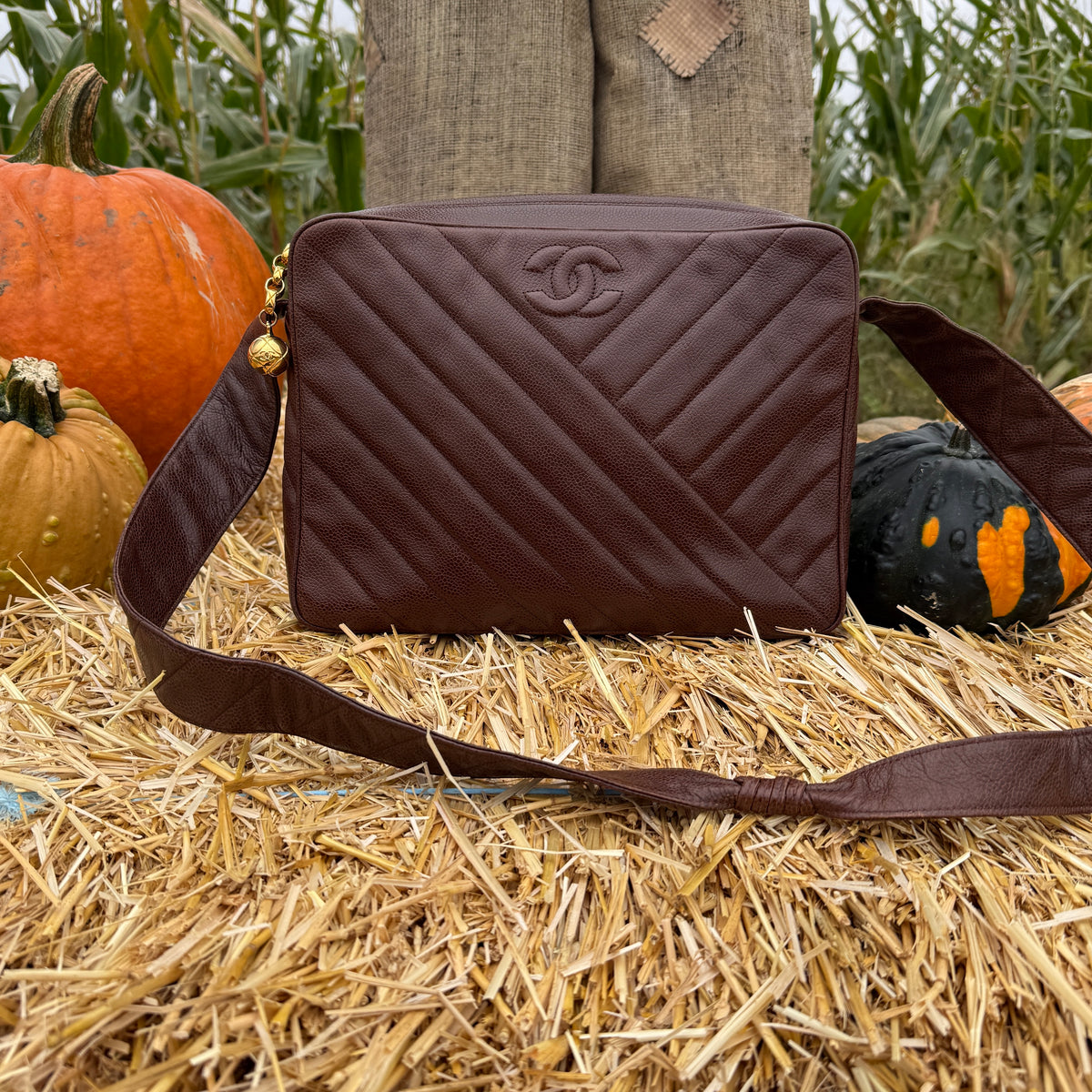 Vintage Chevron Camera Bag — Dark Chocolate Brown Caviar Leather — 24K Gold-Plated Hardware