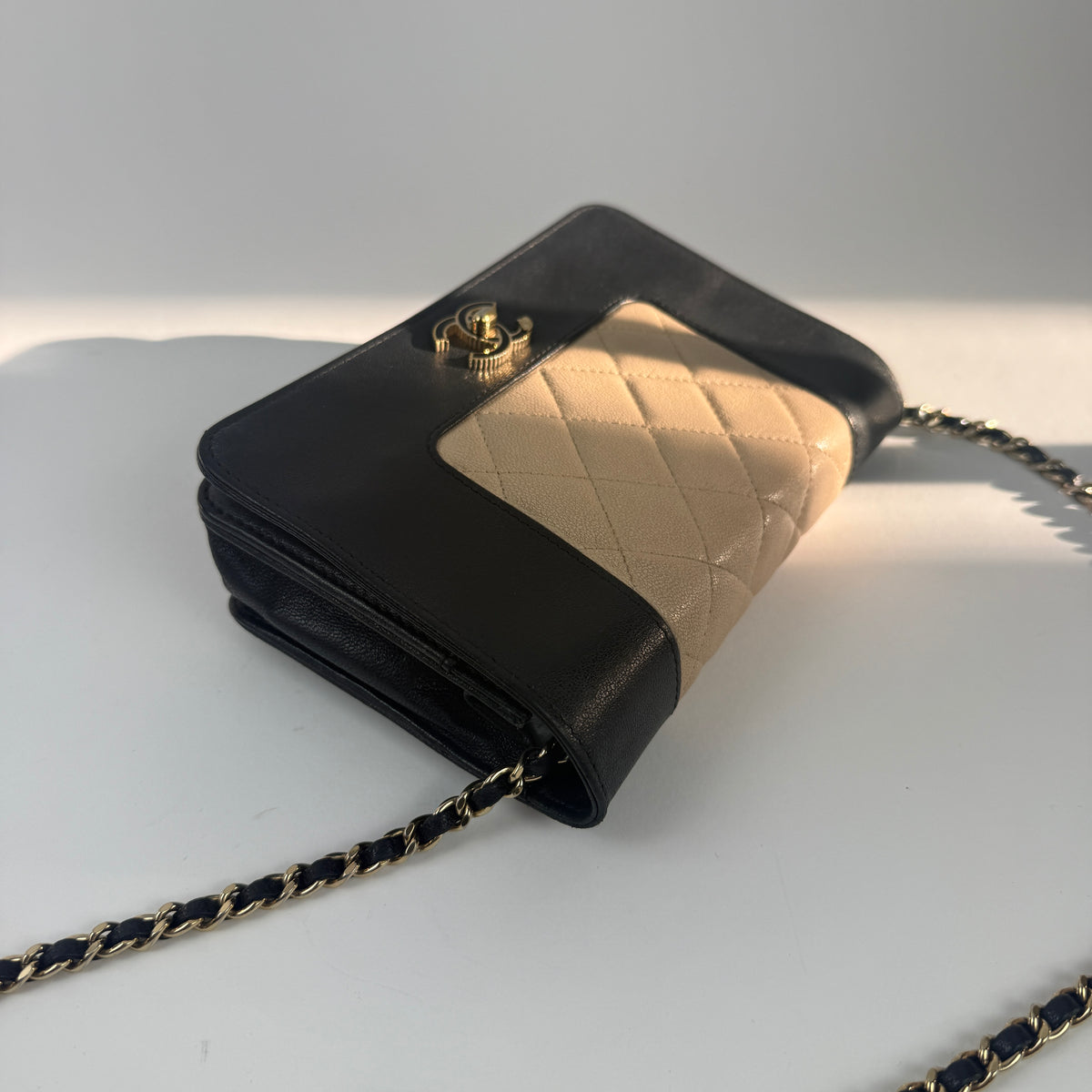 Wallet on Chain — Cruise Collection — Two-Tone Lambskin Leather — Gold-Tone Hardwares
