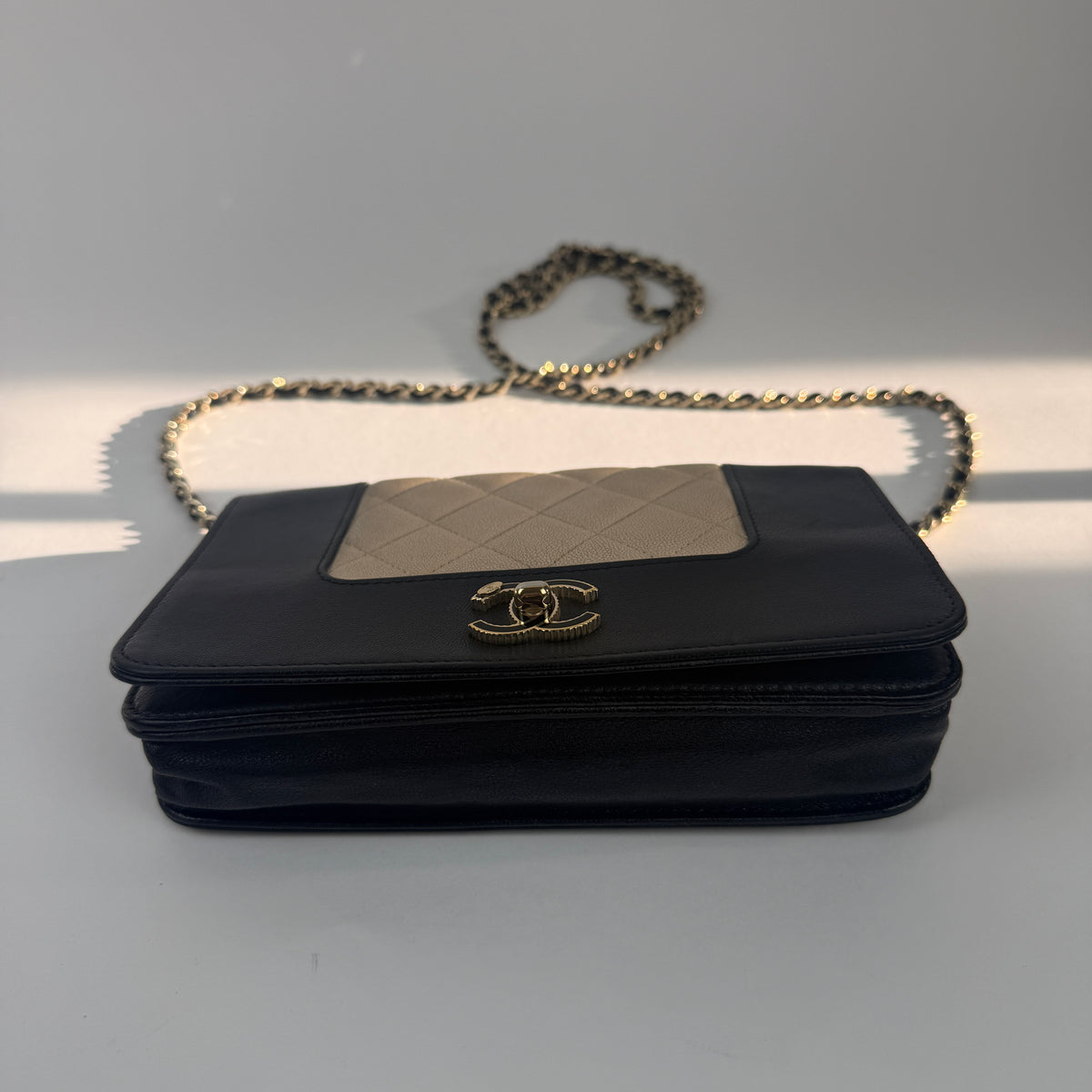 Wallet on Chain — Cruise Collection — Two-Tone Lambskin Leather — Gold-Tone Hardwares