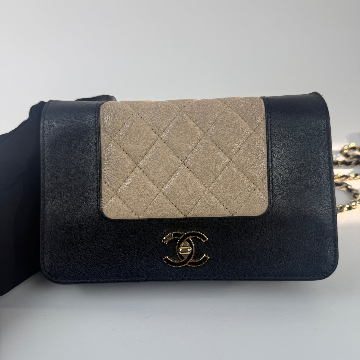 Wallet on Chain — Cruise Collection — Two-Tone Lambskin Leather — Gold-Tone Hardwares