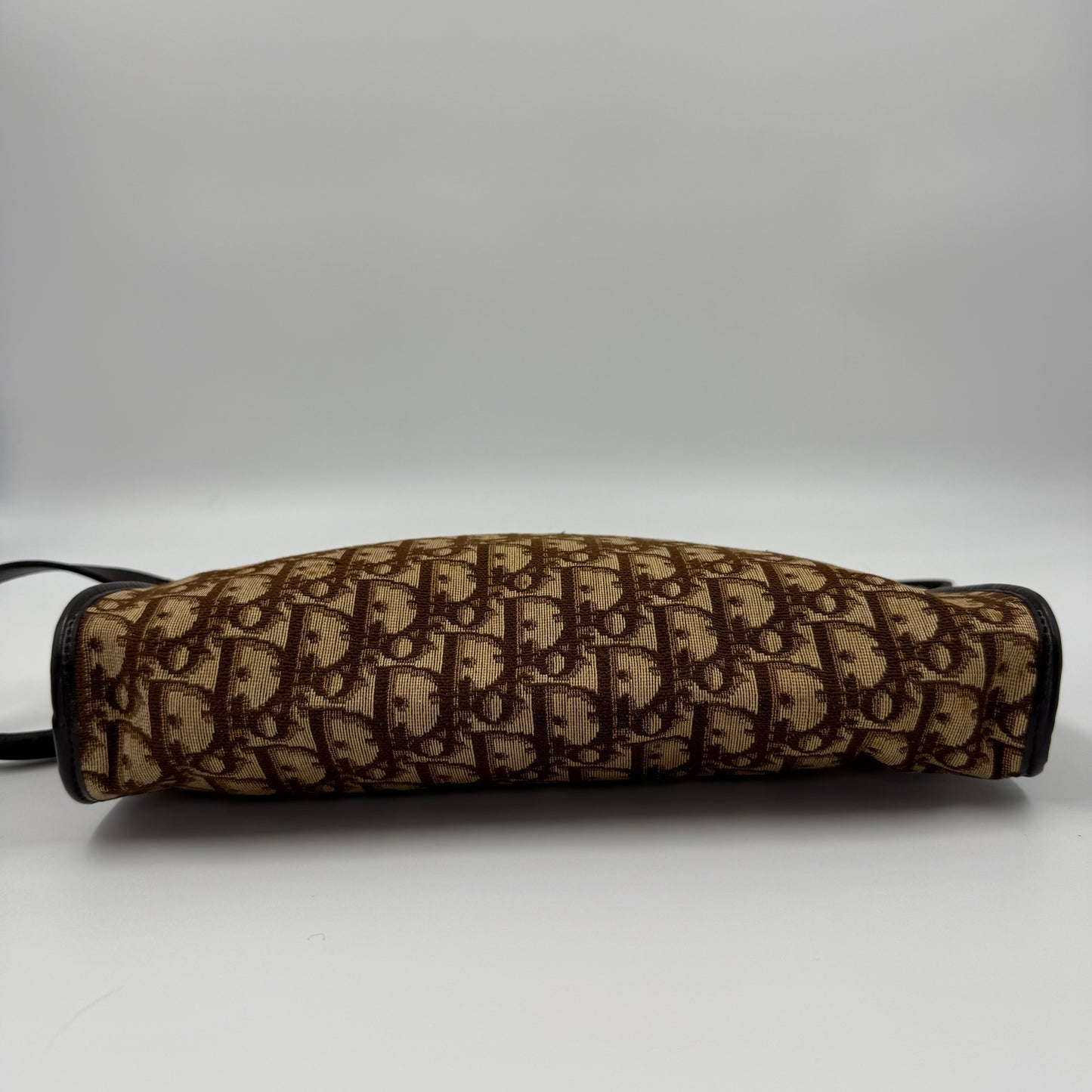 Dior – Trotter Canvas