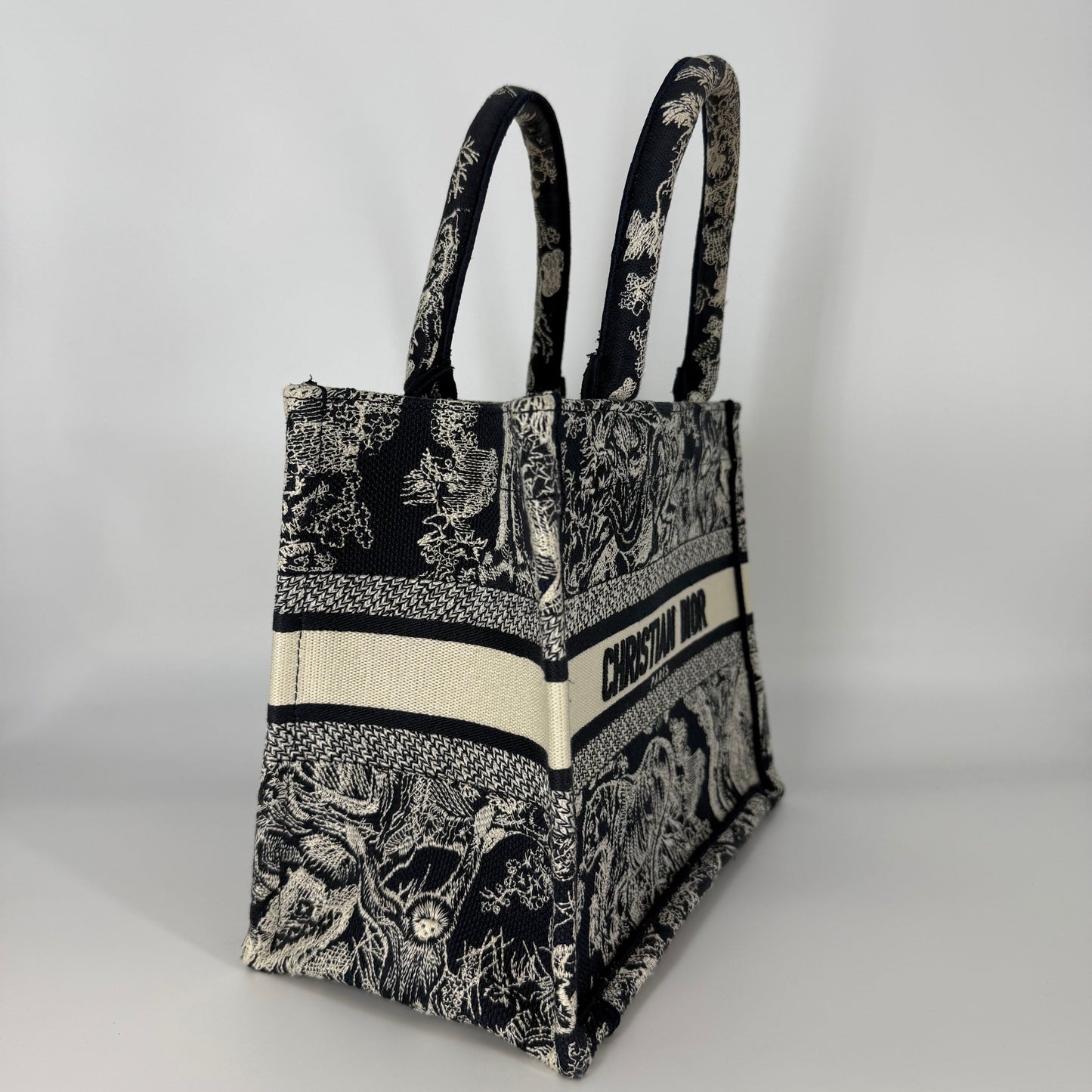 CHRISTIAN DIOR Book Tote Small