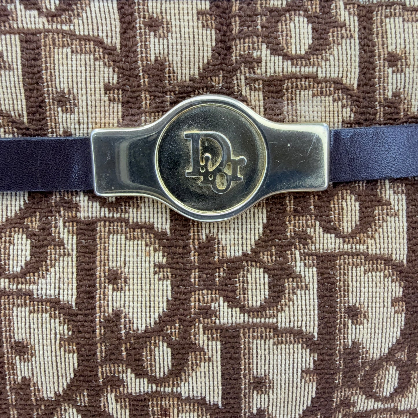 Dior – Trotter Canvas