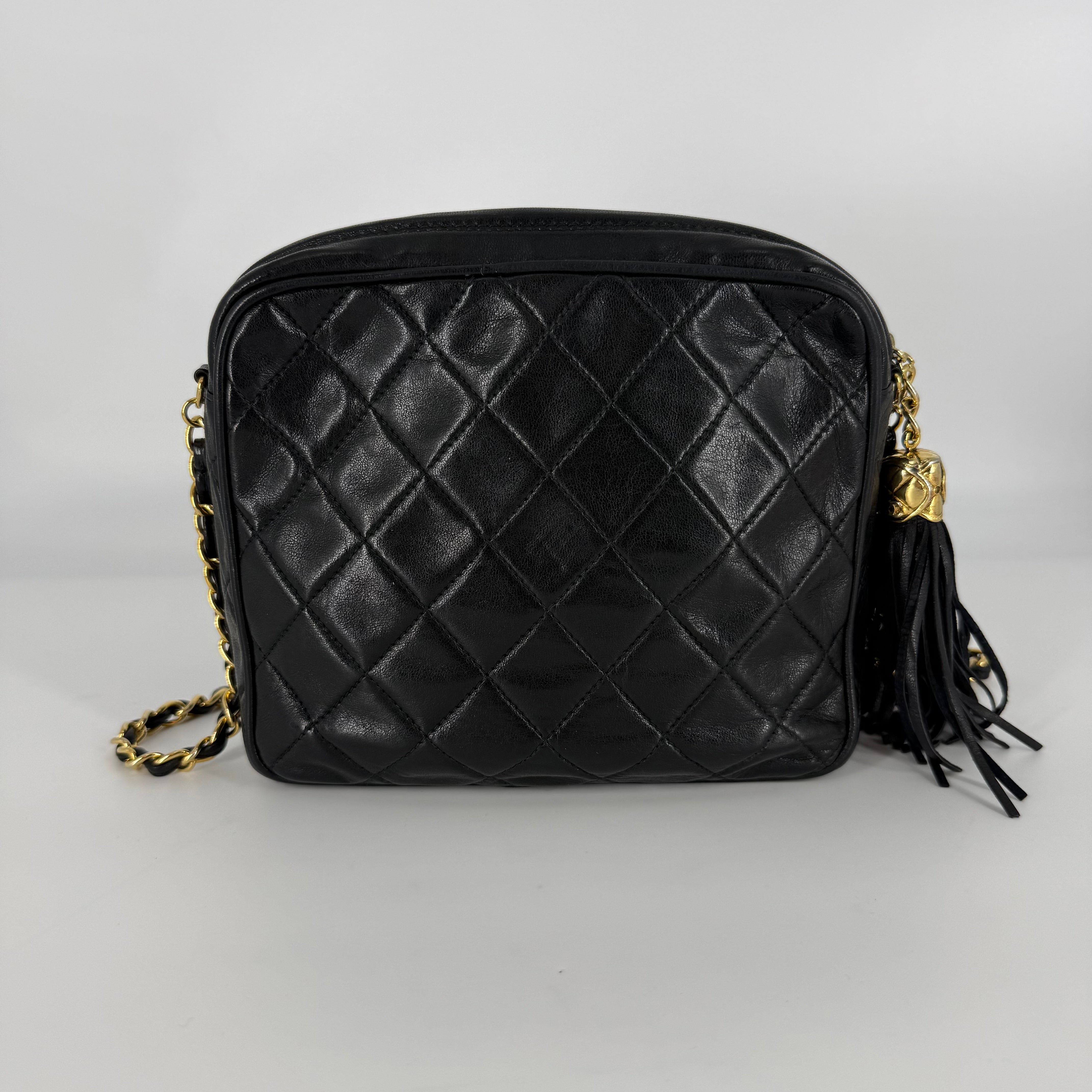 Vintage 24-Karat Gold Camera Bag