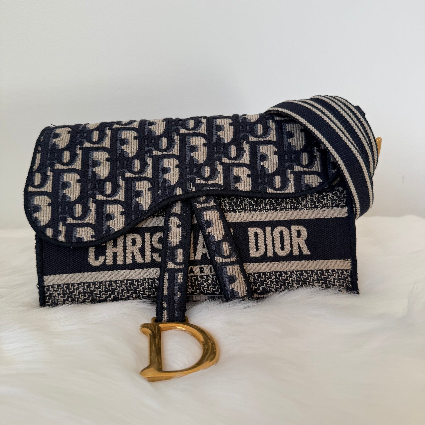 CHRISTIAN DIOR Saddle Canvas Bag