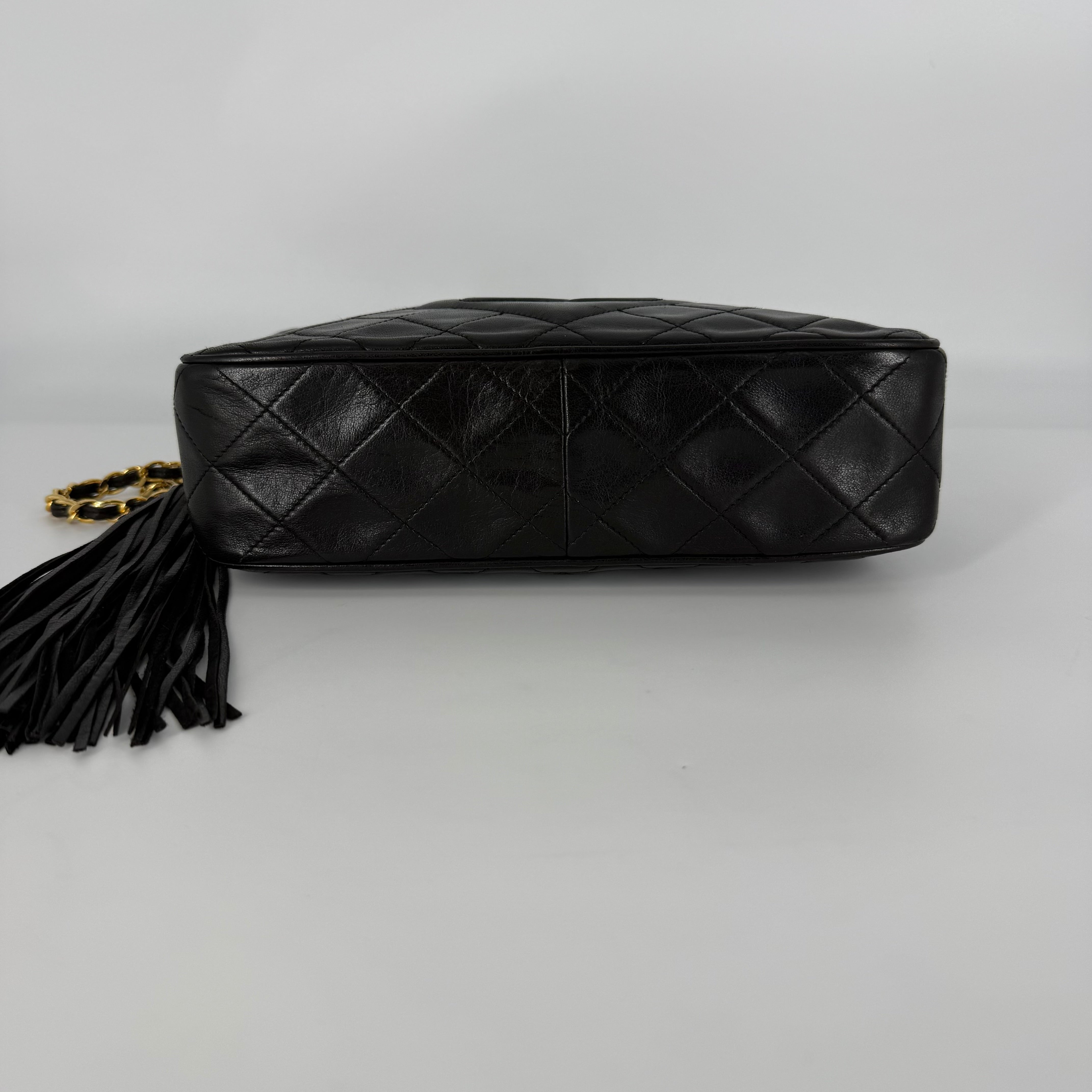 Vintage 24-Karat Gold Camera Bag