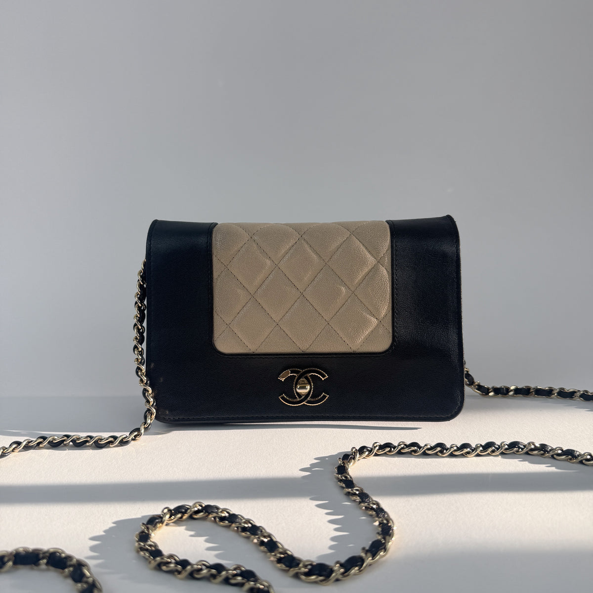 Wallet on Chain — Cruise Collection — Two-Tone Lambskin Leather — Gold-Tone Hardwares