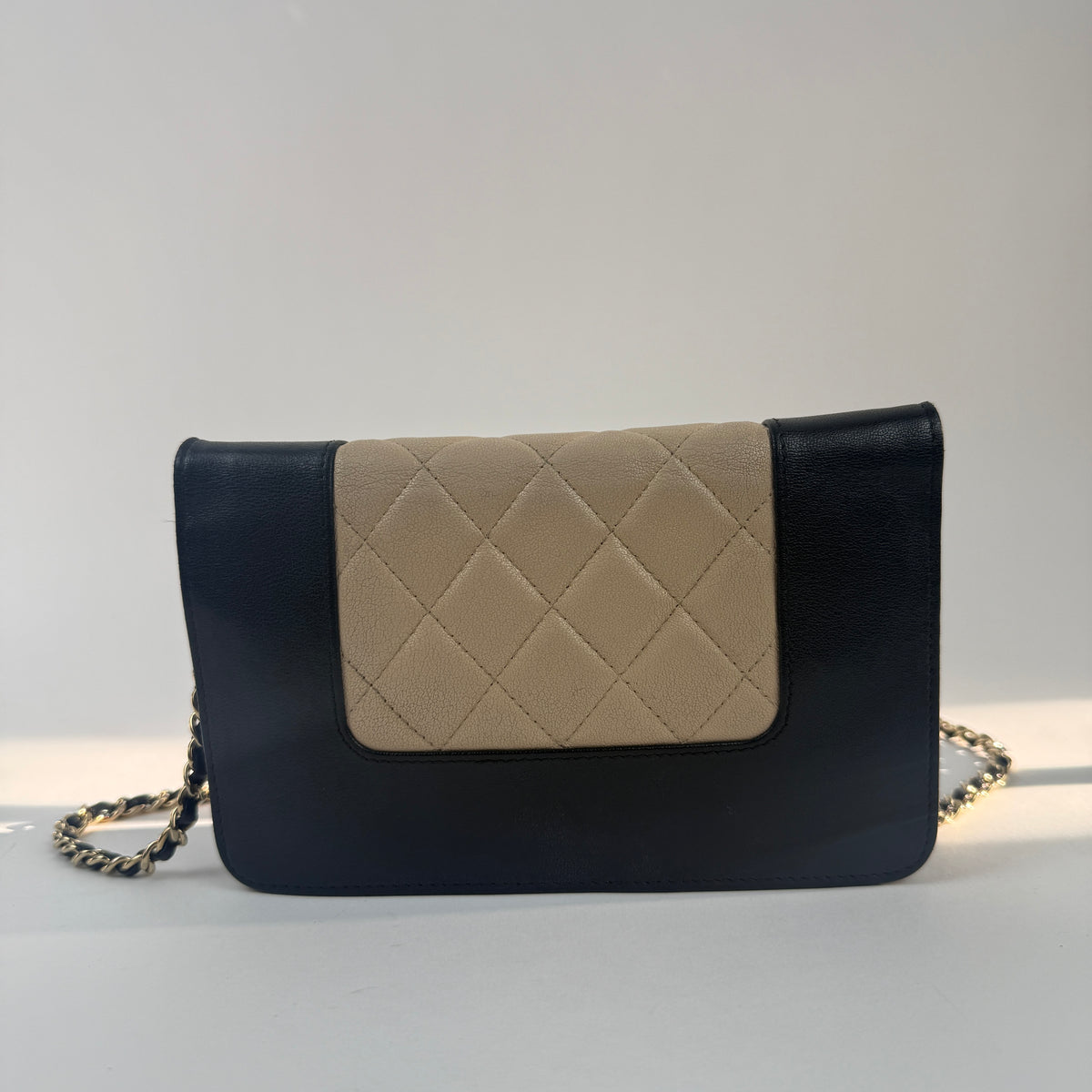 Wallet on Chain — Cruise Collection — Two-Tone Lambskin Leather — Gold-Tone Hardwares