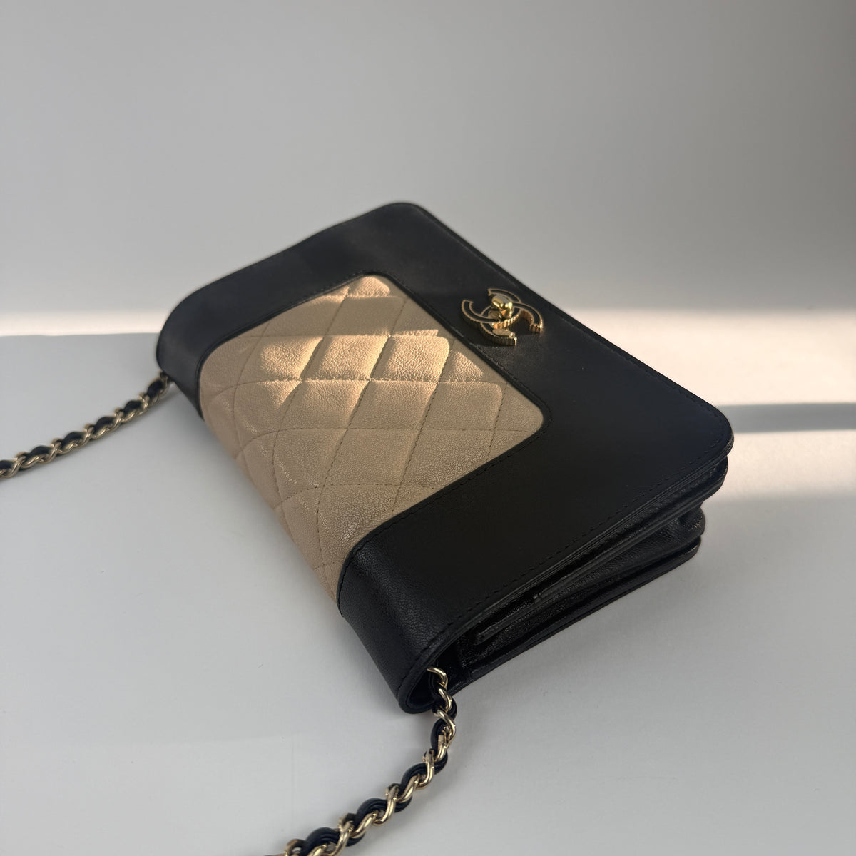 Wallet on Chain — Cruise Collection — Two-Tone Lambskin Leather — Gold-Tone Hardwares