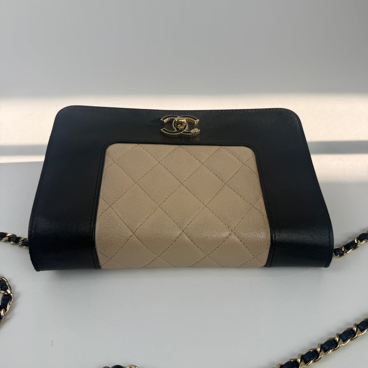 Wallet on Chain — Cruise Collection — Two-Tone Lambskin Leather — Gold-Tone Hardwares