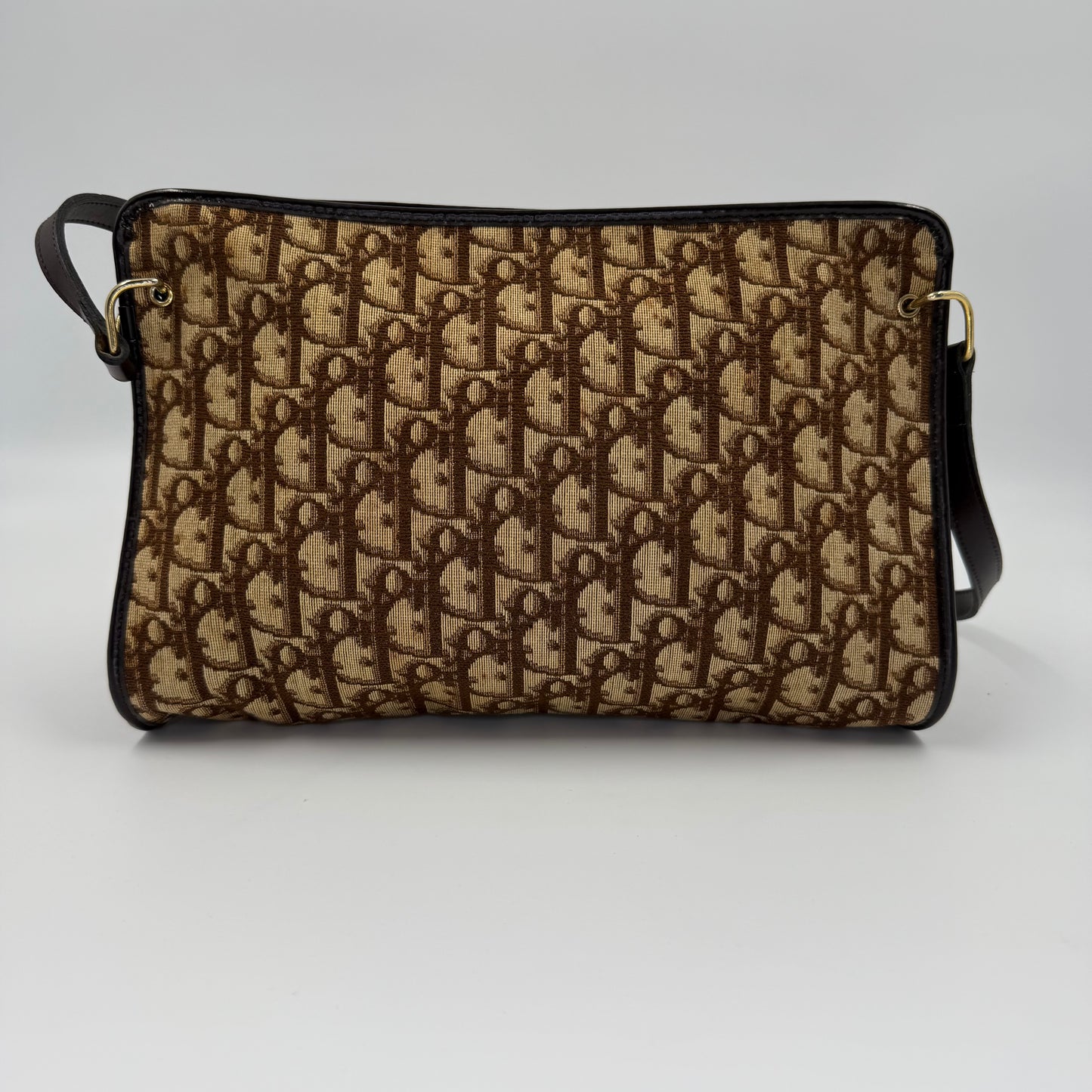 Dior – Trotter Canvas