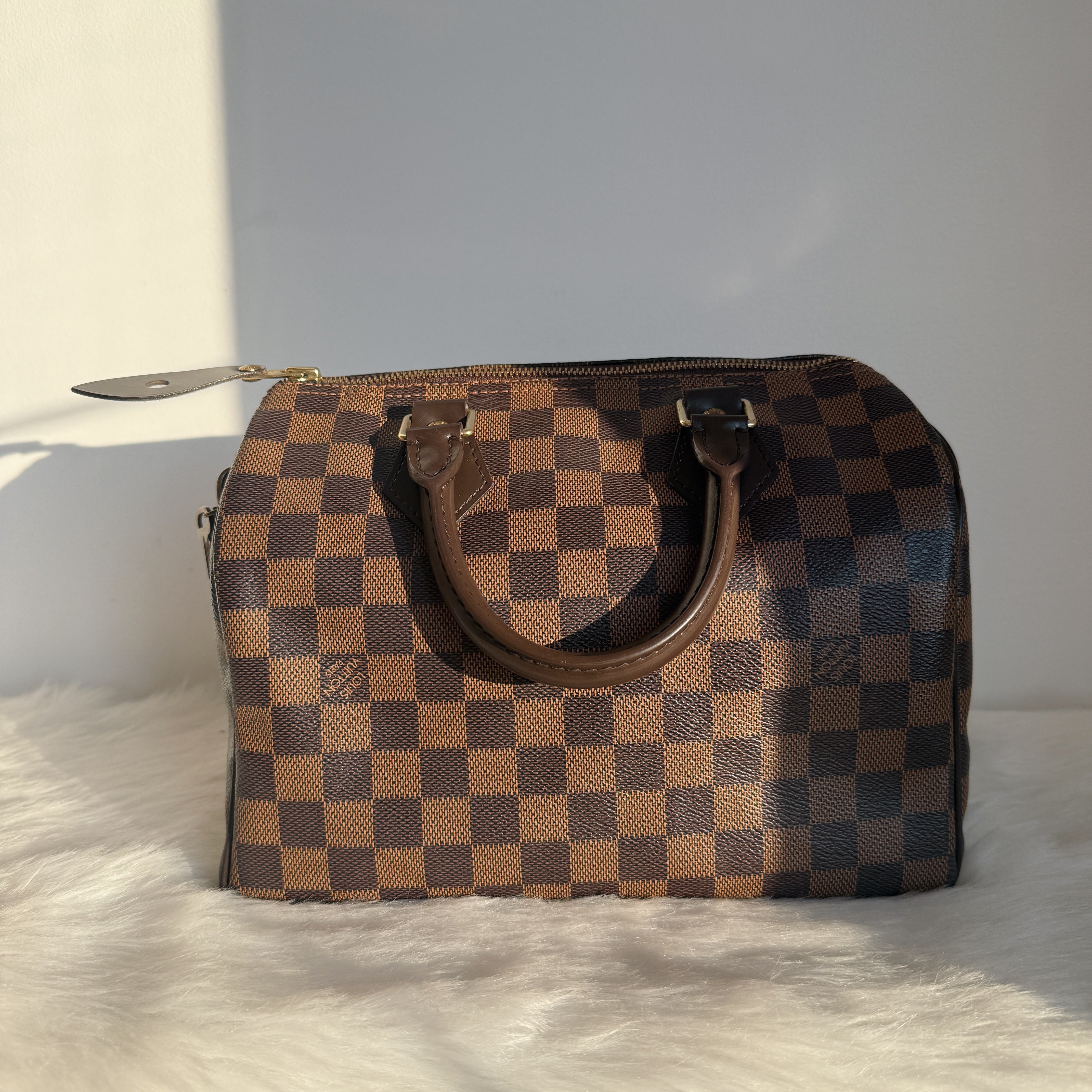 Speedy 25 — Damier Ebene Canvas